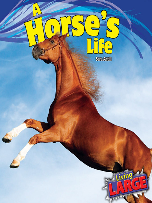 Title details for A Horse's Life by Sara Antill - Available